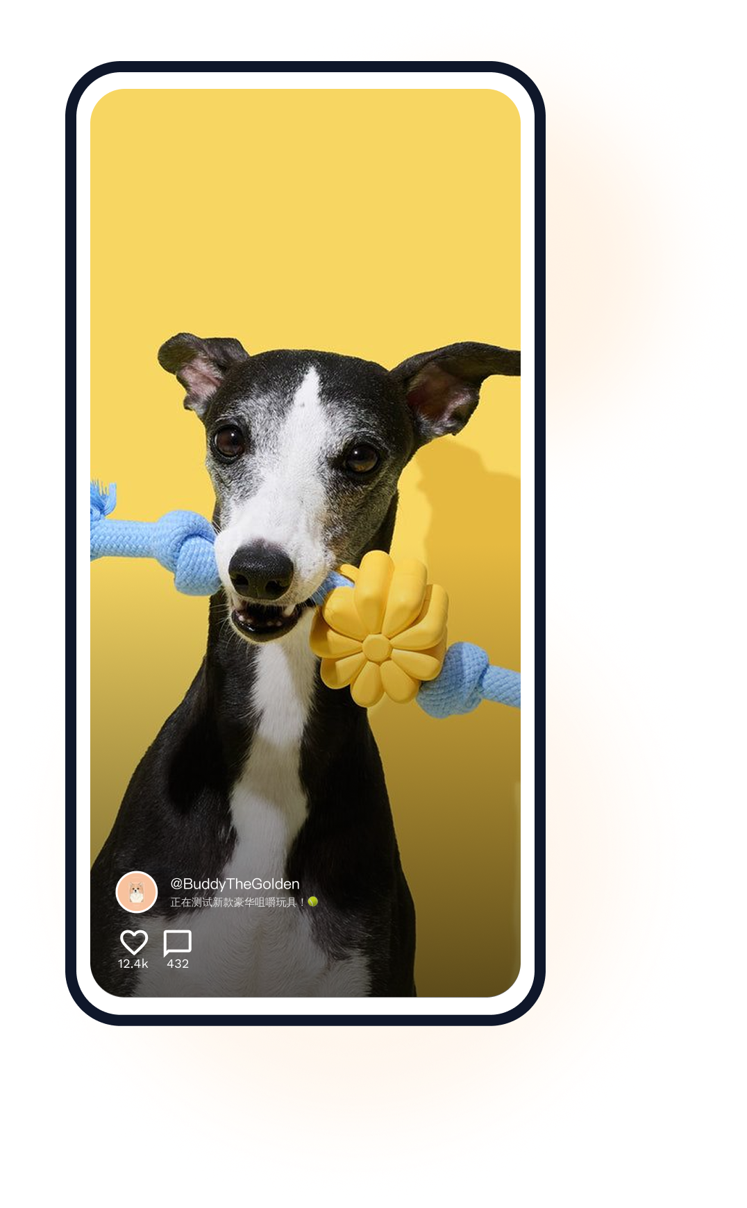 视频模块手机展示图